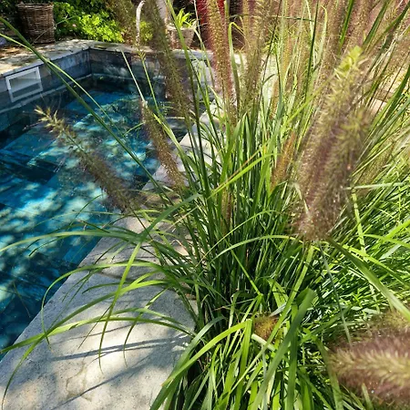 Family With Ecological Pool In Corsica Santo-Pietro-di-Tenda