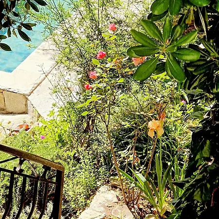 Family With Ecological Pool In Corsica Santo-Pietro-di-Tenda
