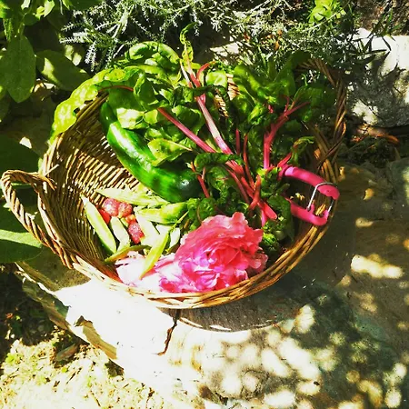 Family With Ecological Pool In Corsica Apartamento *